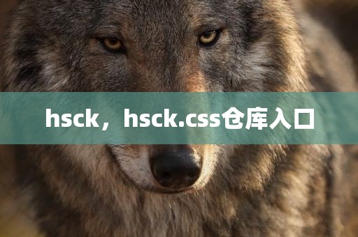 hsck，hsck.css仓库入口