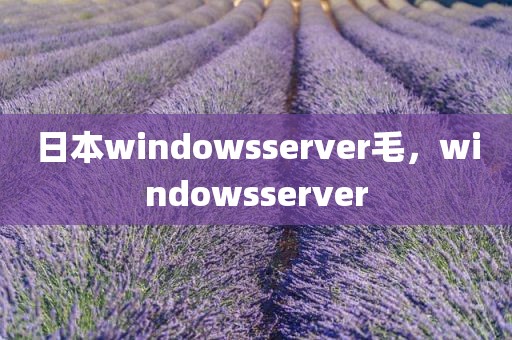 日本windowsserver毛，windowsserver