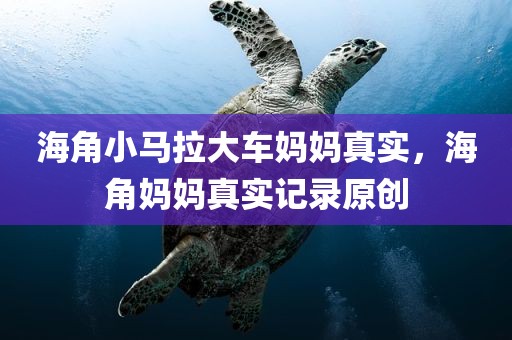 海角小马拉大车妈妈真实，海角妈妈真实记录原创