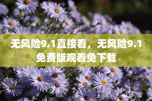 无风险9.1直接看，无风险9.1免费版观看免下载