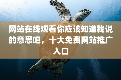 网站在线观看你应该知道我说的意思吧，十大免费网站推广入口