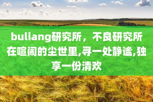 buliang研究所，不良研究所在喧闹的尘世里,寻一处静谧,独享一份清欢