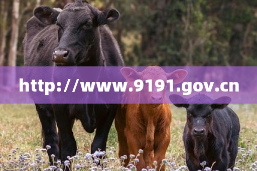 http://www.9191.gov.cn