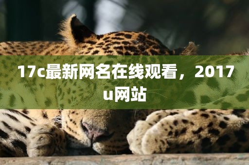 17c最新网名在线观看，2017u网站