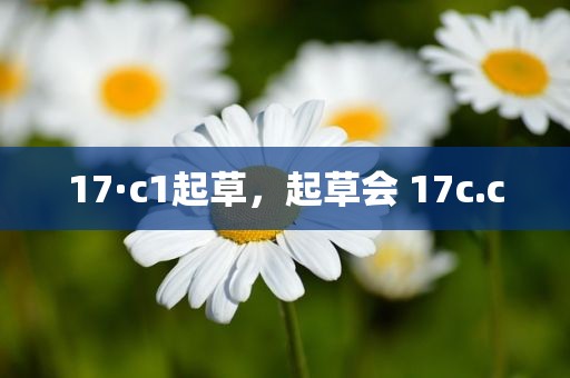 17·c1起草，起草会 17c.c