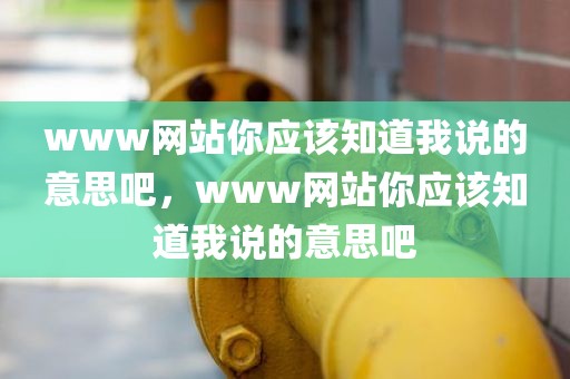www网站你应该知道我说的意思吧，www网站你应该知道我说的意思吧