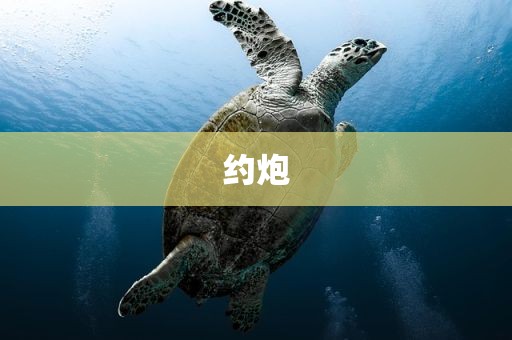 约炮