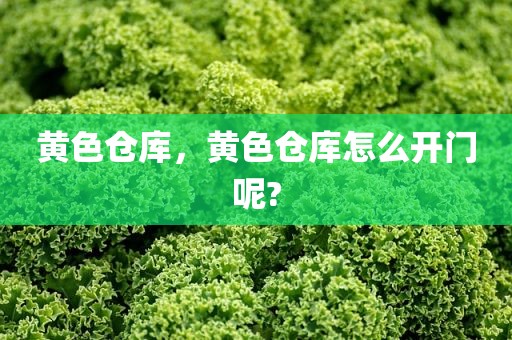黄色仓库，黄色仓库怎么开门呢?