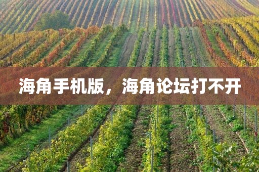 海角手机版，海角论坛打不开
