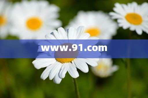www.91.com