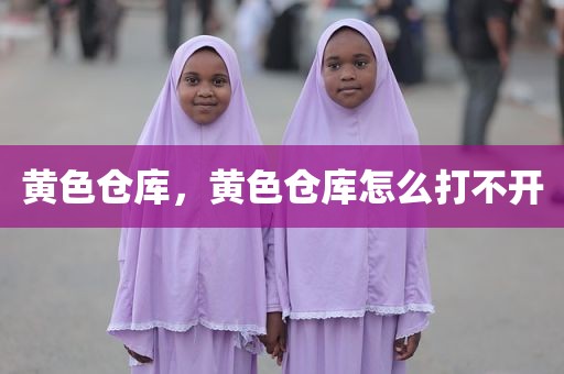 黄色仓库，黄色仓库怎么打不开