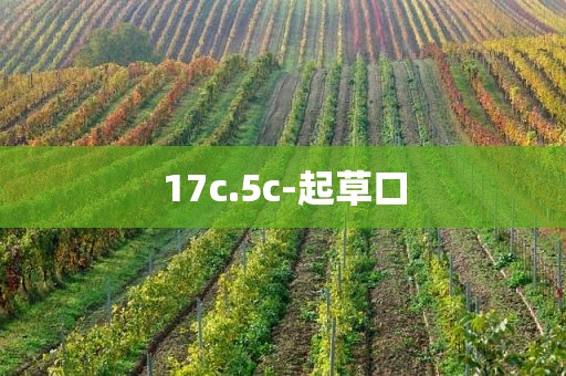 17c.5c-起草口