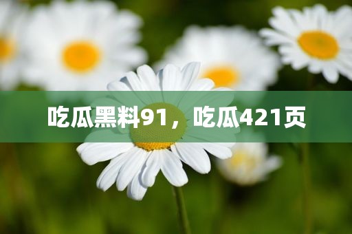 吃瓜黑料91，吃瓜421页