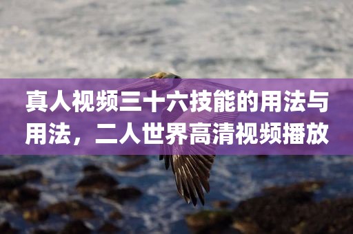 真人视频三十六技能的用法与用法，二人世界高清视频播放