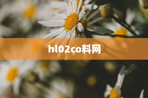 hl02co料网