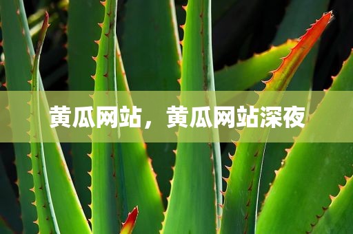 黄瓜网站，黄瓜网站深夜