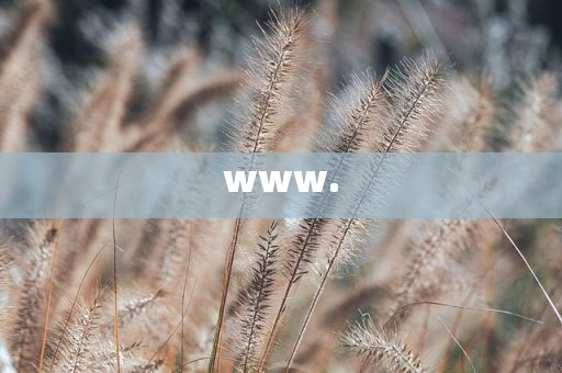 www.