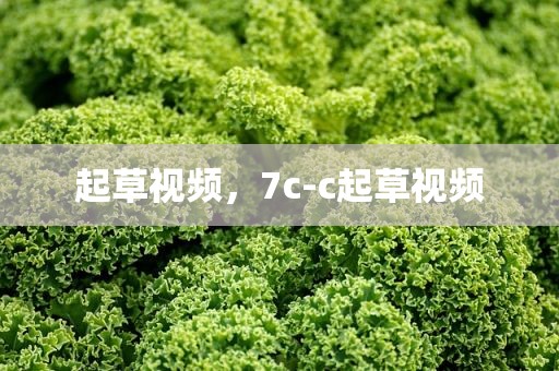 起草视频，7c-c起草视频