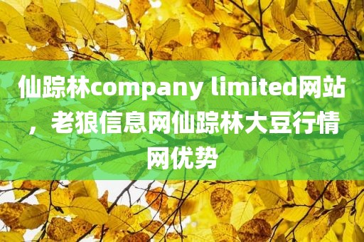 仙踪林company limited网站，老狼信息网仙踪林大豆行情网优势