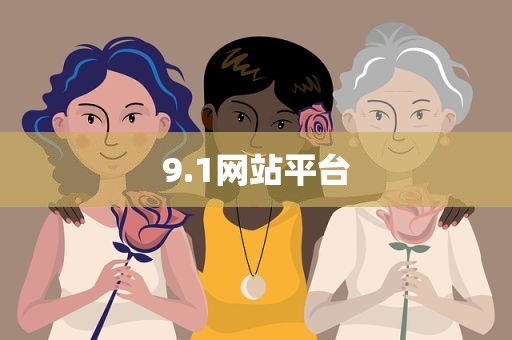 9.1网站平台