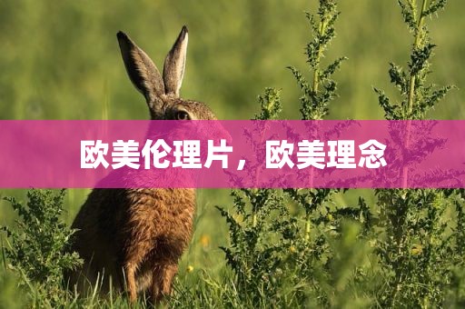 欧美伦理片，欧美理念