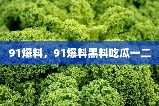 91爆料，91爆料黑料吃瓜一二