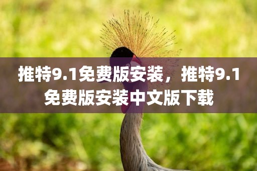 推特9.1免费版安装，推特9.1免费版安装中文版下载