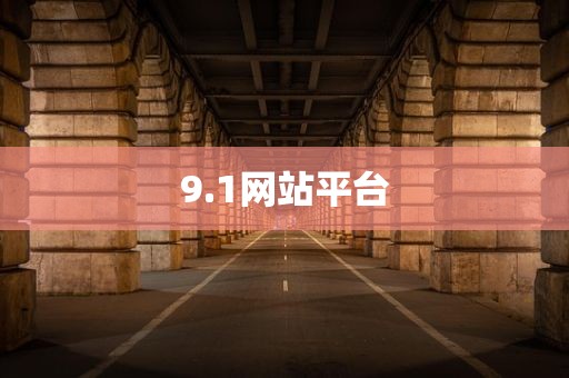 9.1网站平台