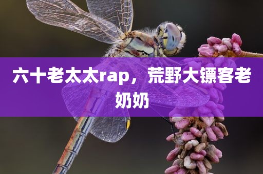 六十老太太rap，荒野大镖客老奶奶