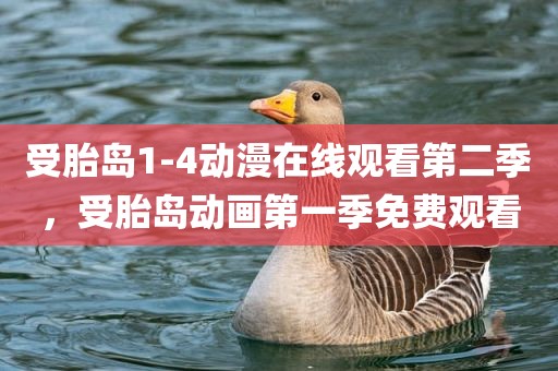 受胎岛1-4动漫在线观看第二季，受胎岛动画第一季免费观看