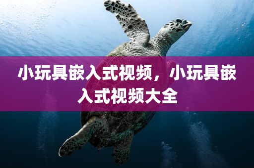 小玩具嵌入式视频，小玩具嵌入式视频大全