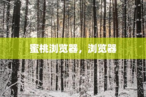 蜜桃浏览器，浏览器