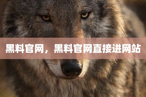 黑料官网，黑料官网直接进网站