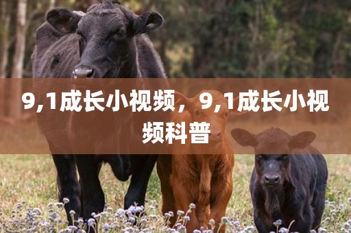 9,1成长小视频，9,1成长小视频科普