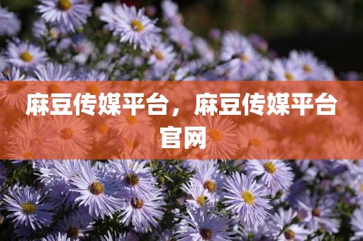 麻豆传媒平台，麻豆传媒平台官网