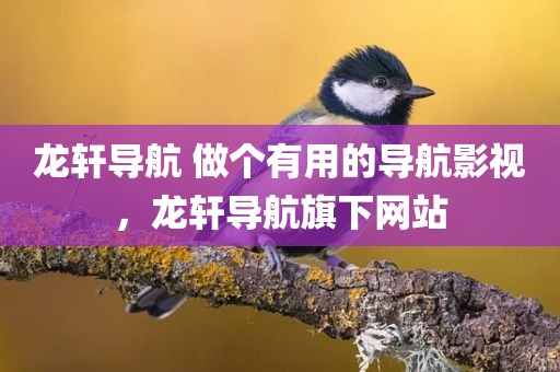 龙轩导航 做个有用的导航影视，龙轩导航旗下网站