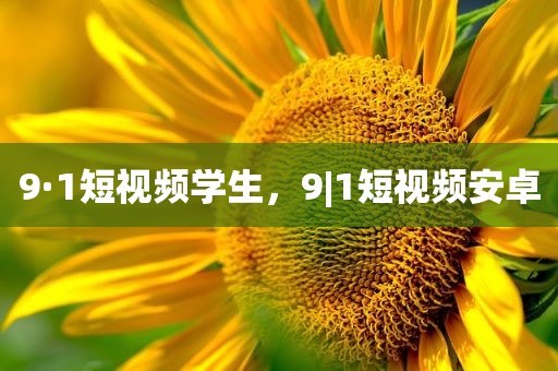9·1短视频学生，9|1短视频安卓
