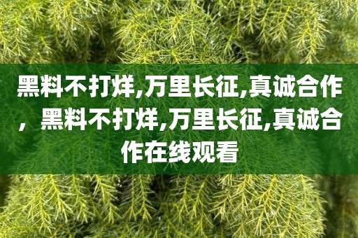 黑料不打烊,万里长征,真诚合作，黑料不打烊,万里长征,真诚合作在线观看