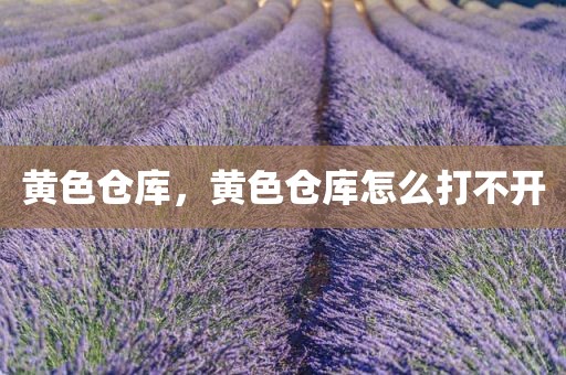 黄色仓库，黄色仓库怎么打不开