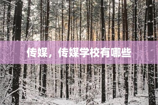 传媒，传媒学校有哪些