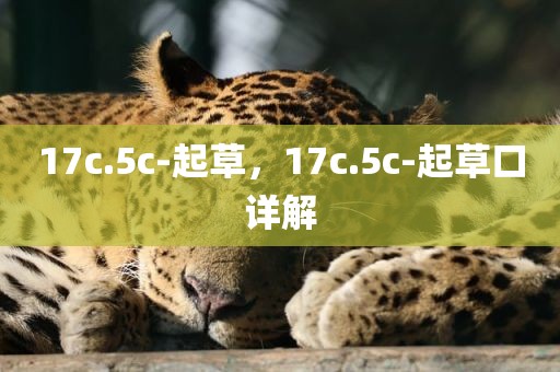 17c.5c-起草，17c.5c-起草口详解