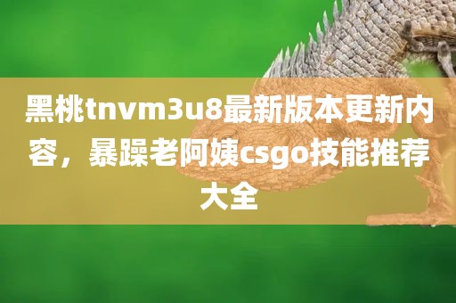 黑桃tnvm3u8最新版本更新内容，暴躁老阿姨csgo技能推荐大全