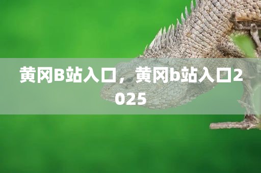 黄冈B站入口，黄冈b站入口2025