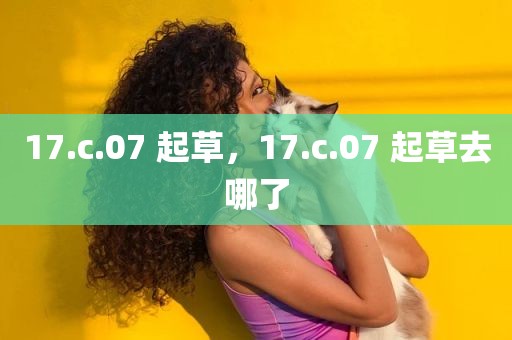 17.c.07 起草，17.c.07 起草去哪了