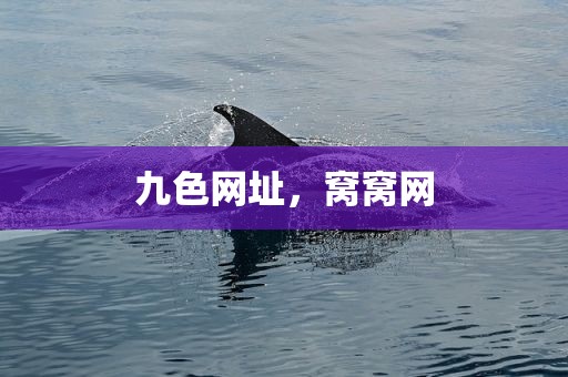 九色网址，窝窝网