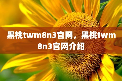 黑桃twm8n3官网，黑桃twm8n3官网介绍