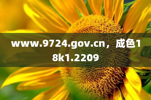 www.9724.gov.cn，成色18k1.2209