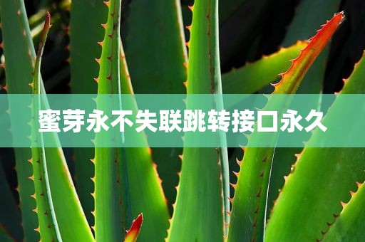 蜜芽永不失联跳转接口永久