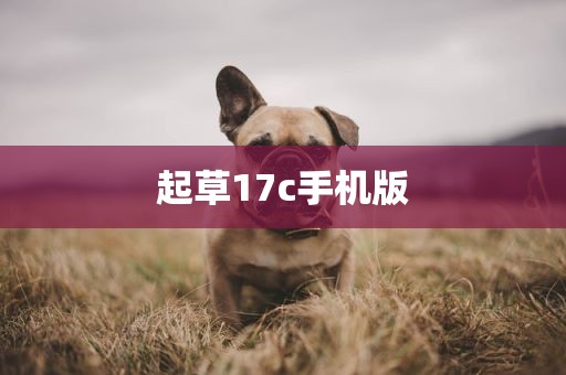 起草17c手机版
