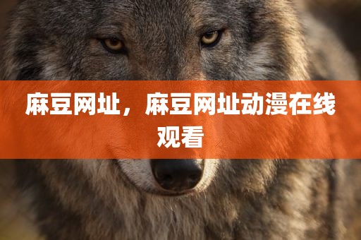 麻豆网址，麻豆网址动漫在线观看